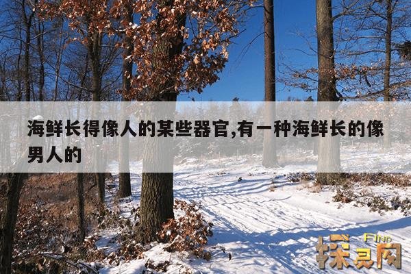 海鲜长得像人的某些器官,有一种海鲜长的像男人的