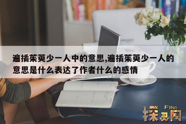 遍插茱萸少一人中的意思,遍插茱萸少一人的意思是什么表达了作者什么的感情