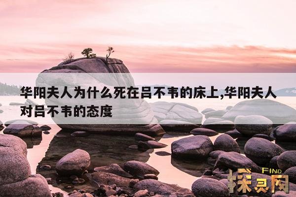 华阳夫人为什么死在吕不韦的床上,华阳夫人对吕不韦的态度