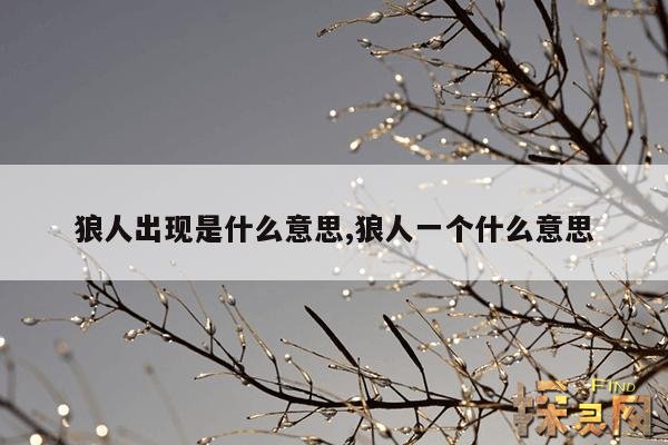 狼人出现是什么意思,狼人一个什么意思