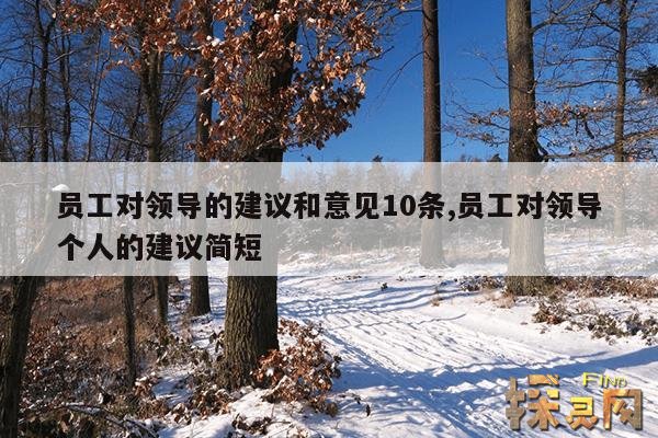 员工对领导的建议和意见10条,员工对领导个人的建议简短