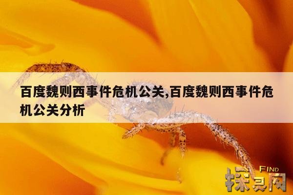 百度魏则西事件危机公关,百度魏则西事件危机公关分析