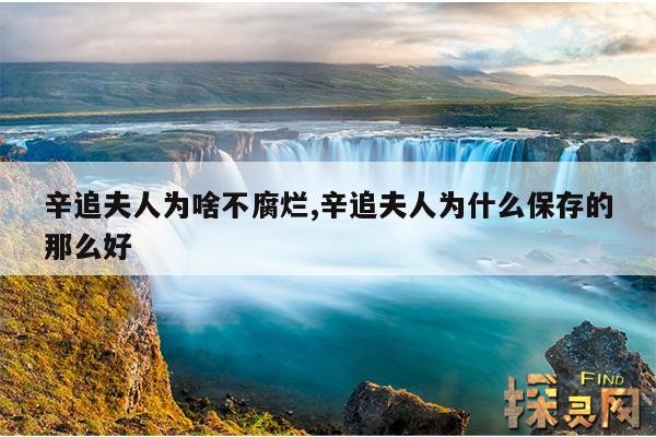 辛追夫人为啥不腐烂,辛追夫人为什么保存的那么好