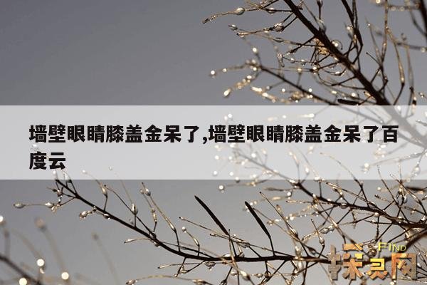 墙壁眼睛膝盖金呆了,墙壁眼睛膝盖金呆了百度云