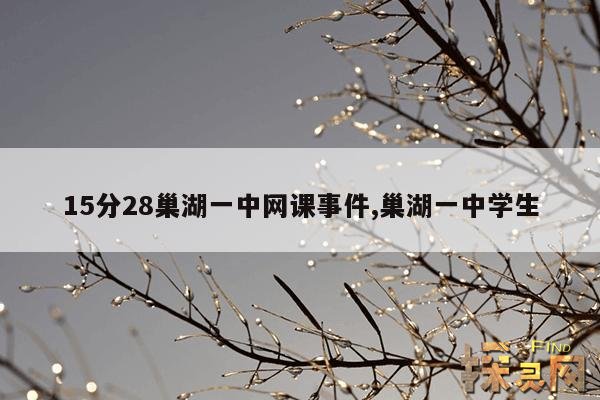 15分28巢湖一中网课事件,巢湖一中学生