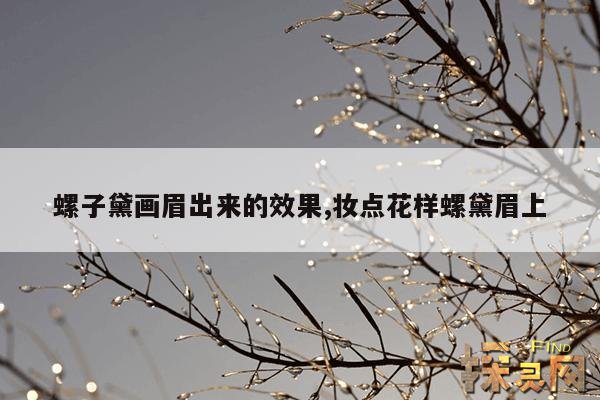 螺子黛画眉出来的效果,妆点花样螺黛眉上