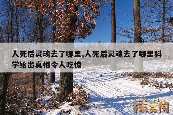 人死后灵魂去了哪里,人死后灵魂去了哪里科学给出真相令人吃惊