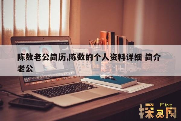 陈数老公简历,陈数的个人资料详细 简介 老公