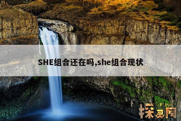 SHE组合还在吗,she组合现状