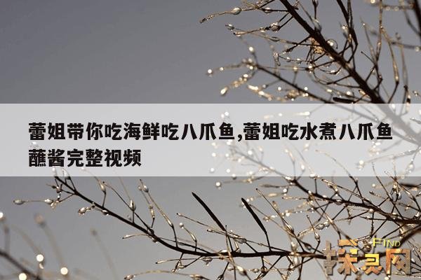 蕾姐带你吃海鲜吃八爪鱼,蕾姐吃水煮八爪鱼蘸酱完整视频