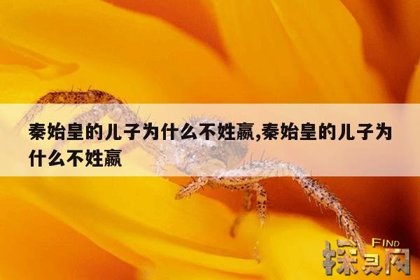 秦始皇的儿子为什么不姓嬴,秦始皇的儿子为什么不姓嬴