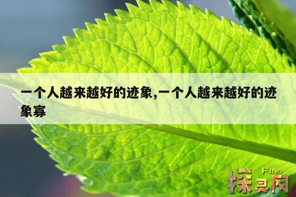 一个人越来越好的迹象,一个人越来越好的迹象寡