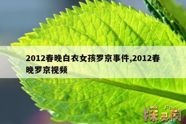 2012春晚白衣女孩罗京事件,2012春晚罗京视频