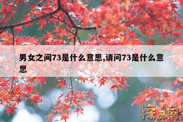 男女之间73是什么意思,请问73是什么意思