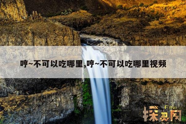 哼~不可以吃哪里,哼~不可以吃哪里视频