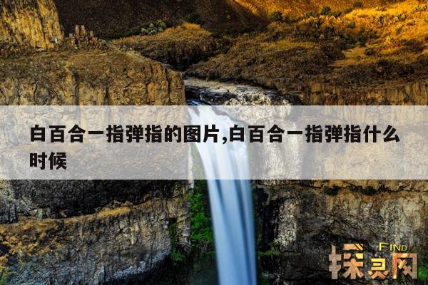 白百合一指弹指的图片,白百合一指弹指什么时候