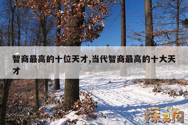 智商最高的十位天才,当代智商最高的十大天才