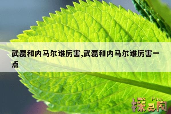 武磊和内马尔谁厉害,武磊和内马尔谁厉害一点