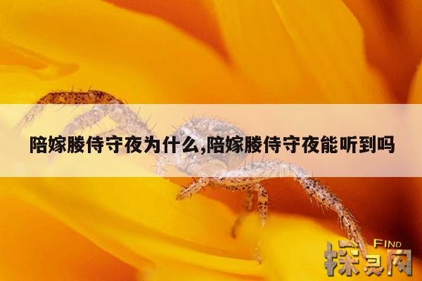 陪嫁媵侍守夜为什么,陪嫁媵侍也要侍寝吗?