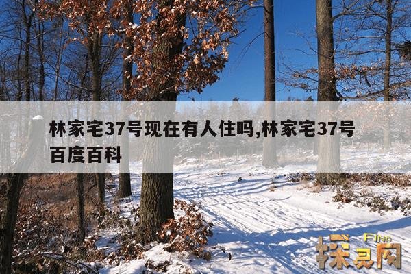 林家宅37号现在有人住吗,林家宅37号 百度百科