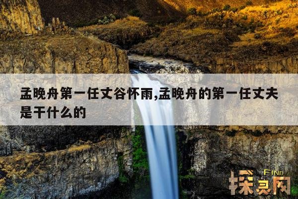 孟晚舟第一任丈谷怀雨,孟晚舟的第一任丈夫是干什么的