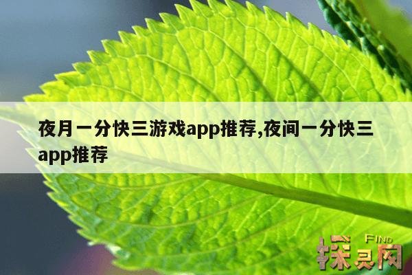 夜月一分快三游戏app推荐,夜间一分快三app推荐