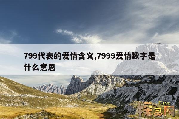 799代表的爱情含义,7999爱情数字是什么意思