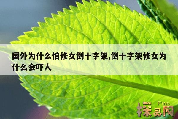 国外为什么怕修女倒十字架,倒十字架修女为什么会吓人
