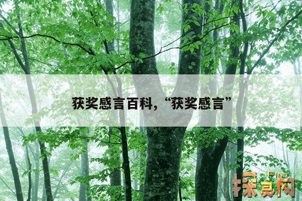 获奖感言百科,“获奖感言”