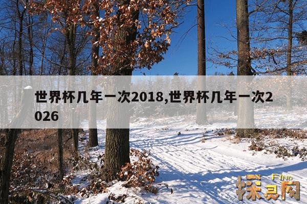 世界杯几年一次2018,世界杯几年一次2026