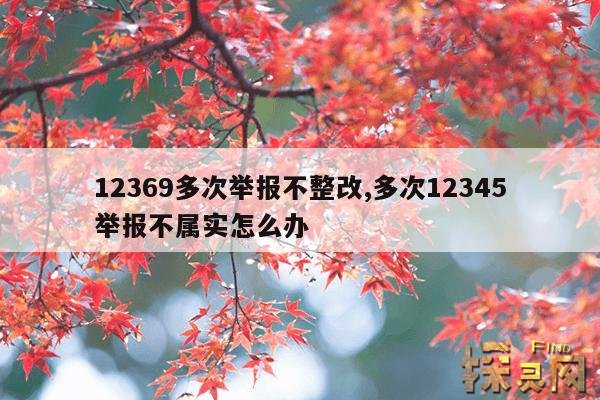 12369多次举报不整改,12369举报不处理怎么办?
