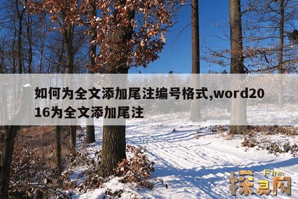 如何为全文添加尾注编号格式,word2016为全文添加尾注