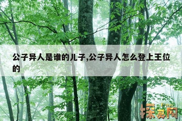 公子异人是谁的儿子,公子异人怎么登上王位的