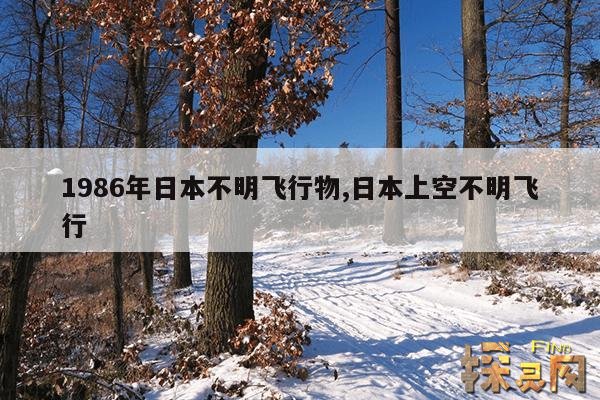1986年日本不明飞行物,日本上空不明飞行