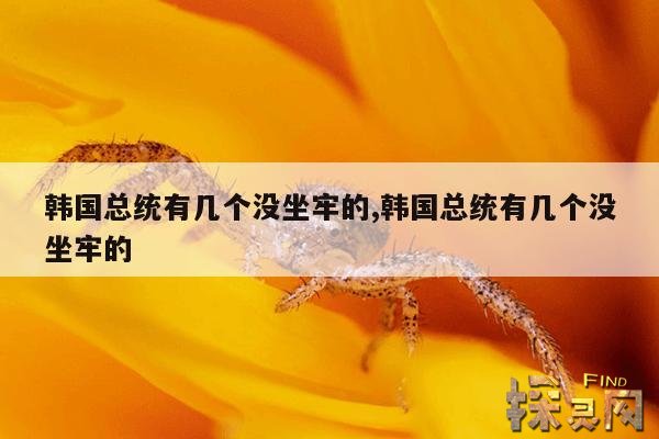 韩国总统有几个没坐牢的,韩国总统有几个没坐牢的