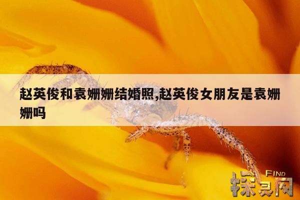 赵英俊和袁姗姗结婚照,赵英俊女朋友是袁姗姗吗