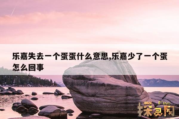 乐嘉失去一个蛋蛋什么意思,乐嘉少了一个蛋怎么回事