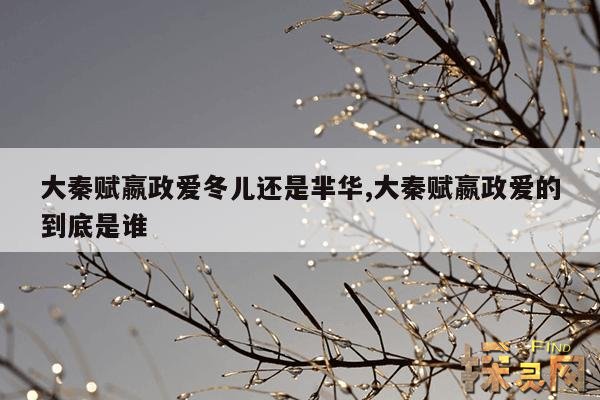 大秦赋嬴政爱冬儿还是芈华,大秦赋嬴政爱的到底是谁