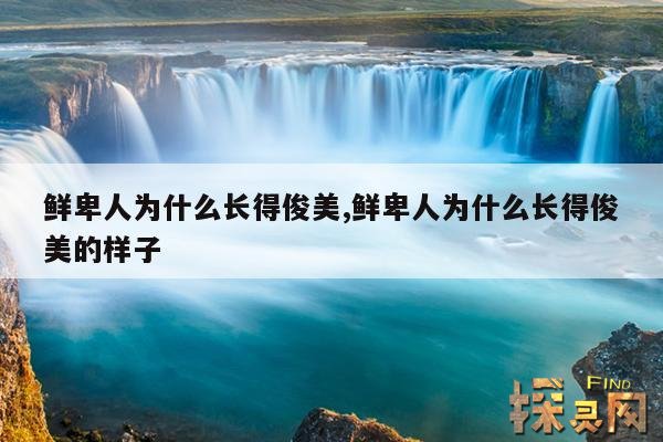 鲜卑人为什么长得俊美,鲜卑人为什么长得俊美的样子