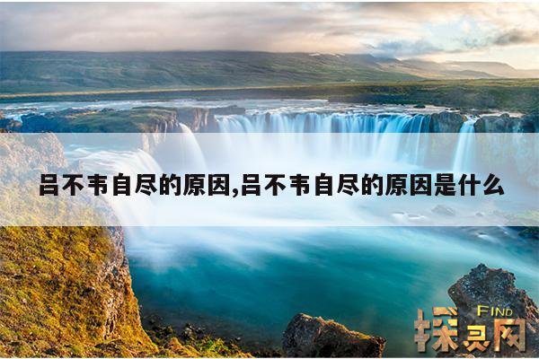 吕不韦自尽的原因,吕不韦自尽的原因是什么