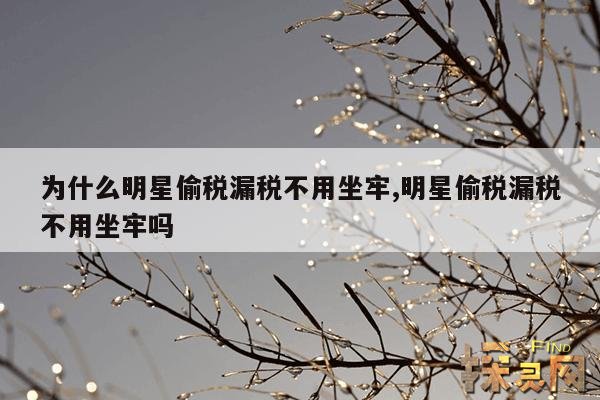 为什么明星偷税漏税不用坐牢,明星偷税漏税不用坐牢吗