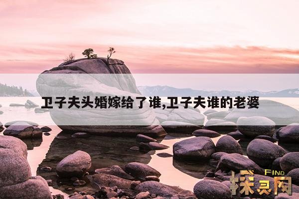 卫子夫头婚嫁给了谁,卫子夫谁的老婆