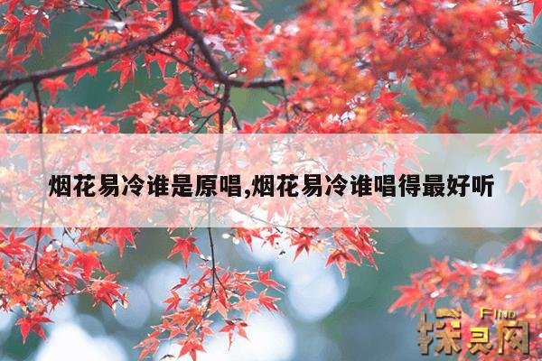 烟花易冷谁是原唱,烟花易冷谁唱得最好听