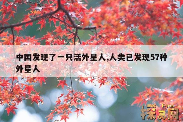 中国发现了一只活外星人,人类已发现57种外星人