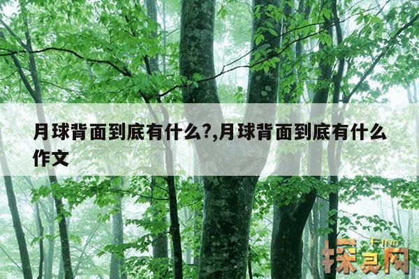 月球背面到底有什么?,月球背面到底有什么作文