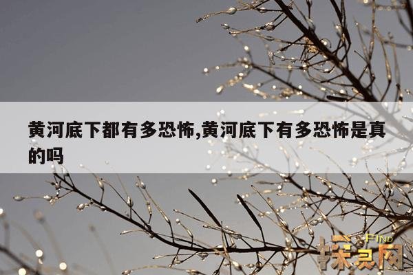 黄河底下都有多恐怖,黄河底下有多恐怖是真的吗