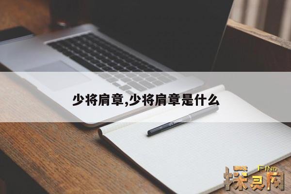 少将肩章,少将肩章是什么样的