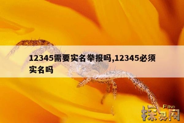 12345需要实名举报吗,12345必须实名吗