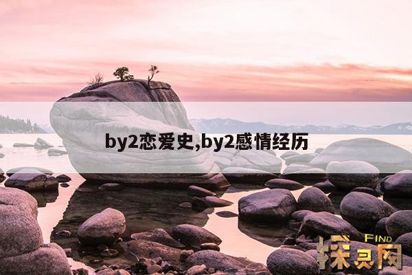 by2恋爱史,by2感情经历