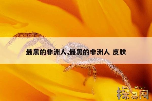 最黑的非洲人,最黑的非洲人 皮肤